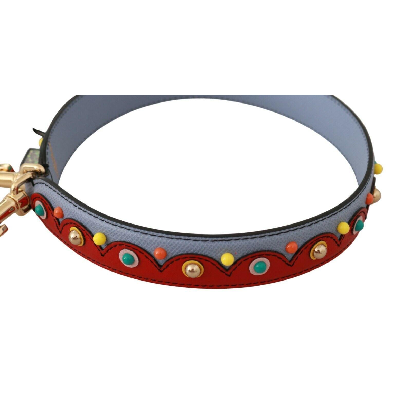 Dolce & Gabbana Blue and red Shoulder Strap Leather Blue Handbag Accessory