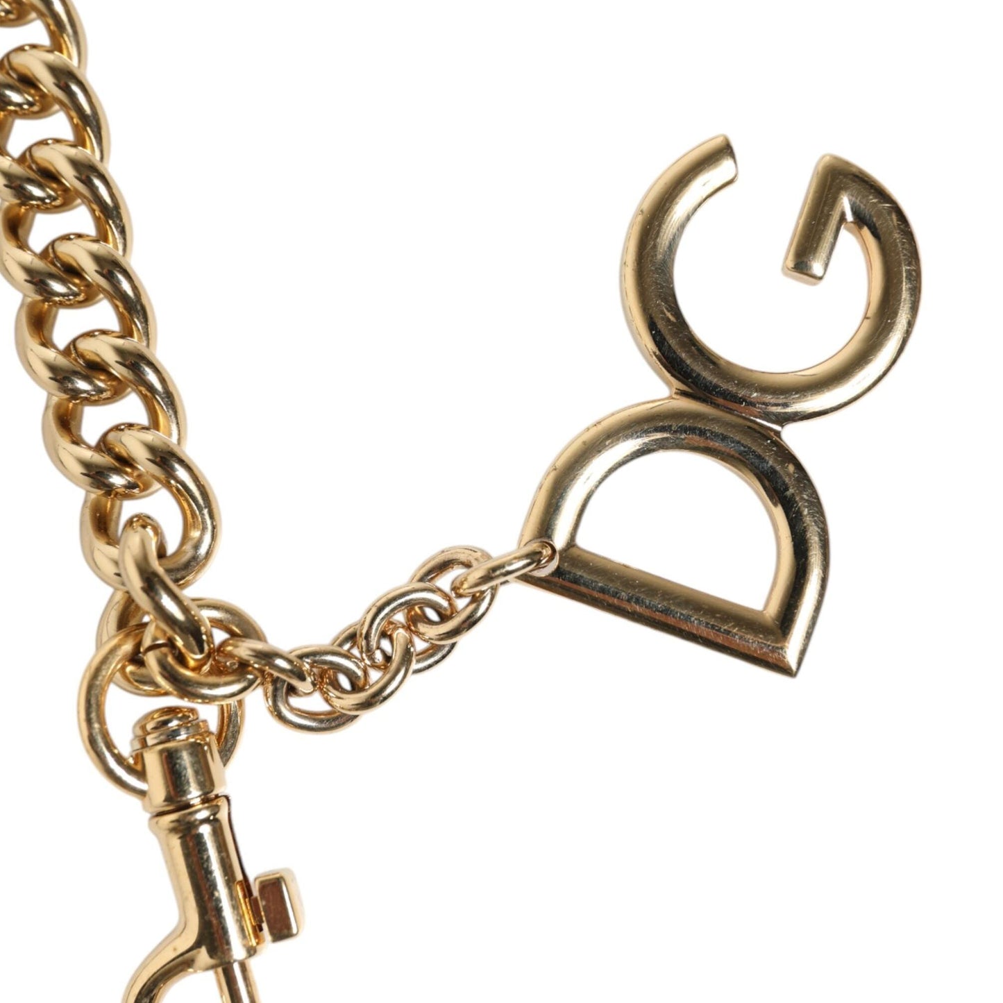 Dolce & Gabbana Brown Leopard Gold Brass Chain Accessory Shoulder Strap