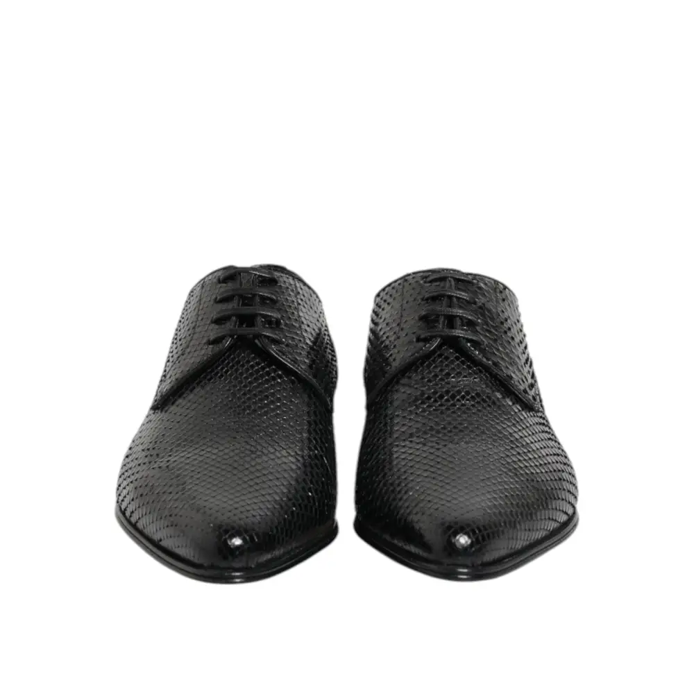 Dolce & Gabbana sorte eksotiske læder snørebånd derby sko i sort slangeskind