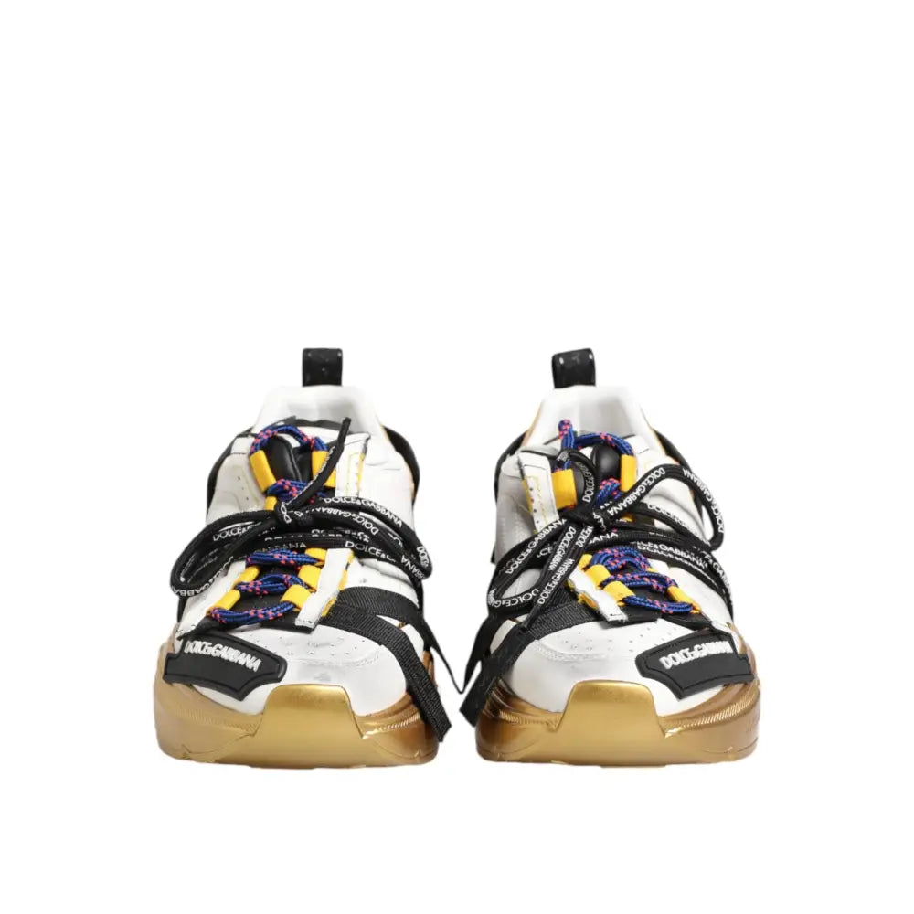 Dolce & Gabbana Multicolor Daymaster Low Top Sneakers Shoes