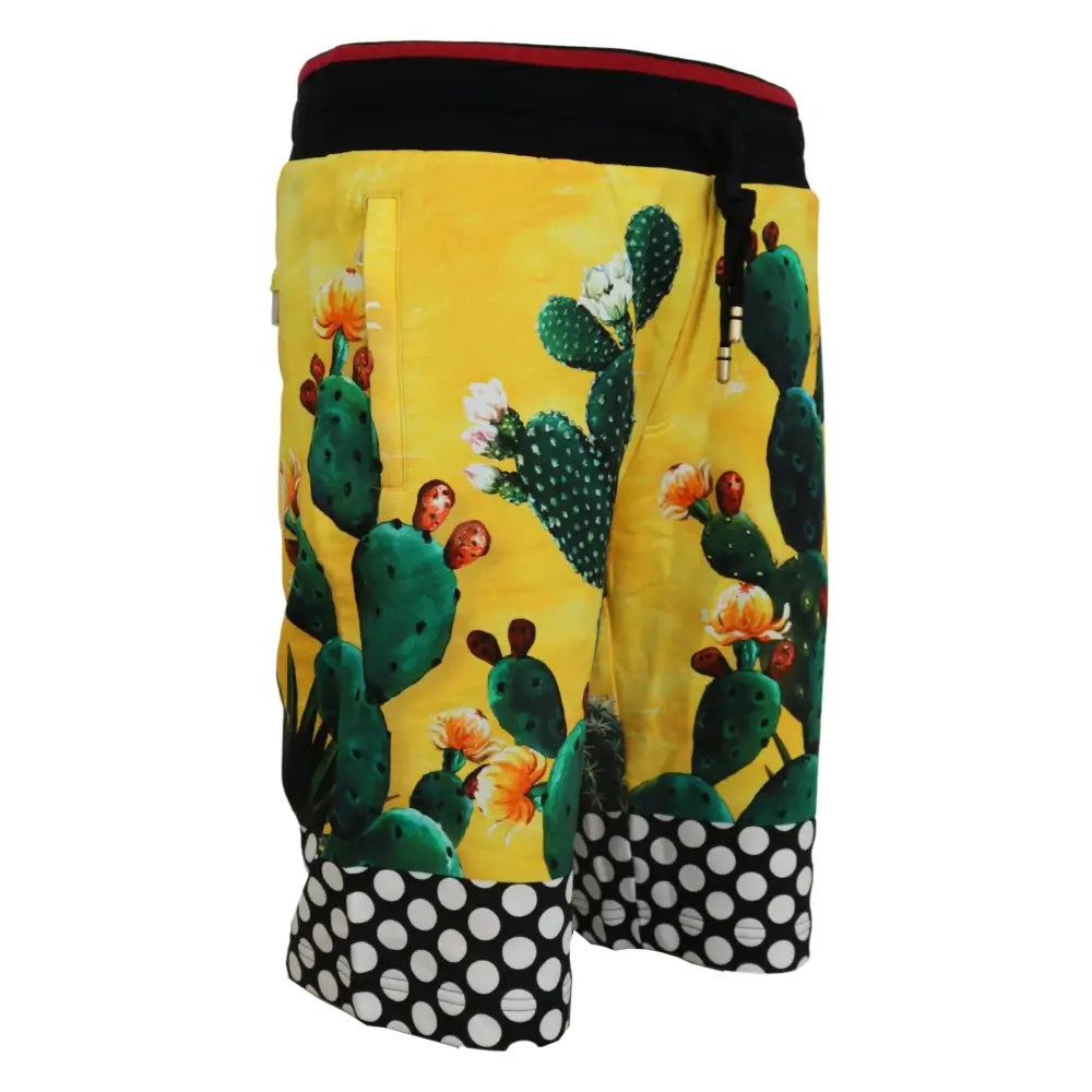 Dolce & Gabbana Multifarver Cactus Print Bomuld Sweat Shorts